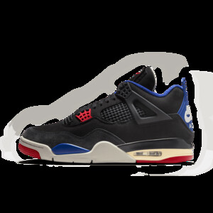 Air Jordan 4 SE 'Rare Air' | FV5029-003